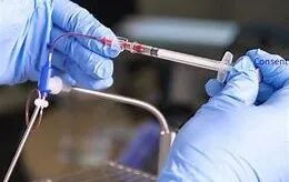 脑体互作研究—神经药效评价实验外包平台