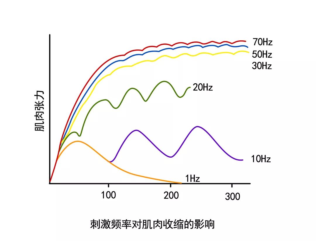 为什么选择双相波【收藏贴】低频电疗法的参数及其意义_https://www.jmylbn.com_新闻资讯_第5张