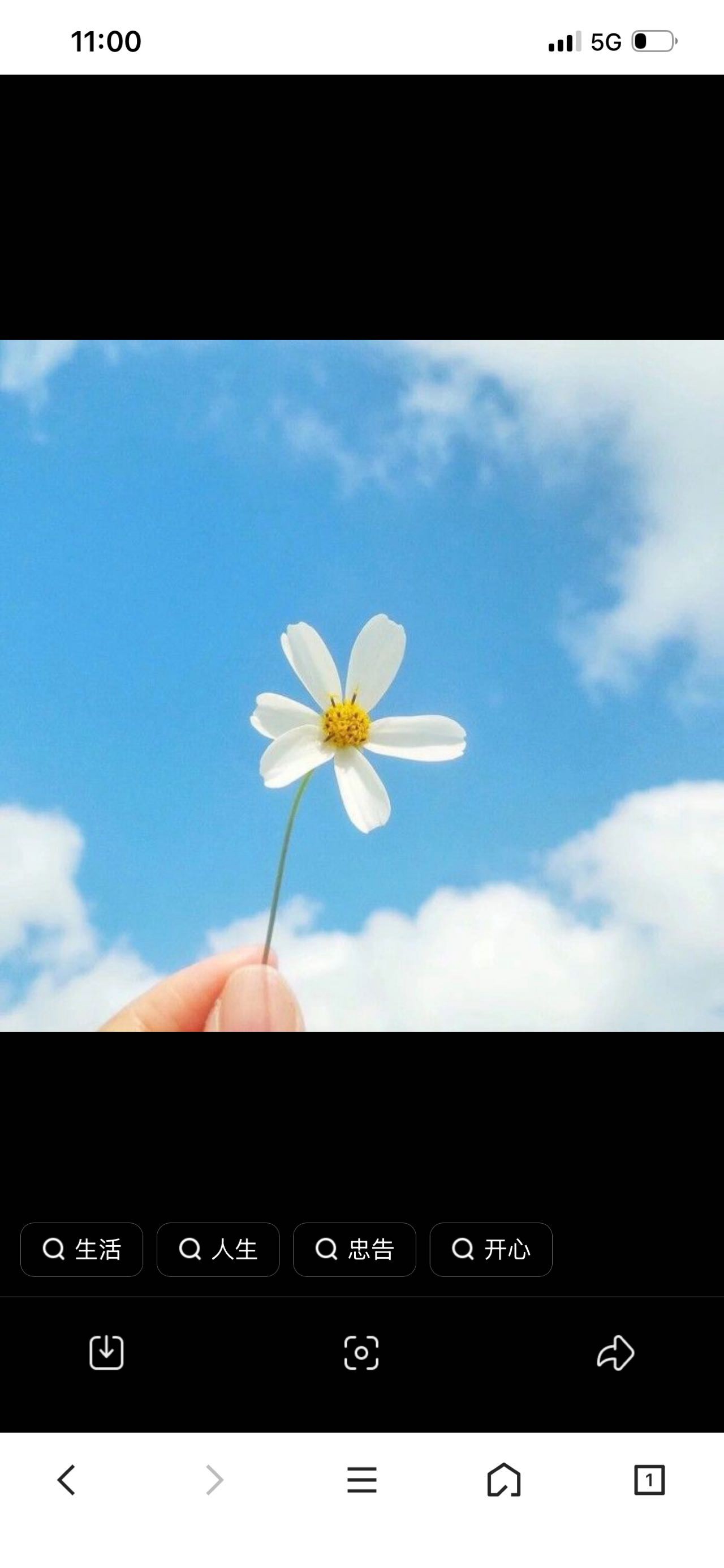 芙蓉纸01