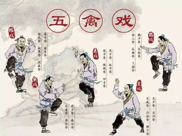 冬季锻炼养生的绝佳选择 华佗五禽戏