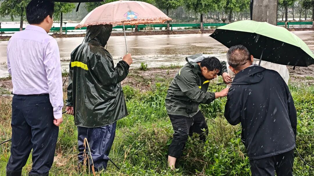 微信图片_20260519181512_3510_11.jpg