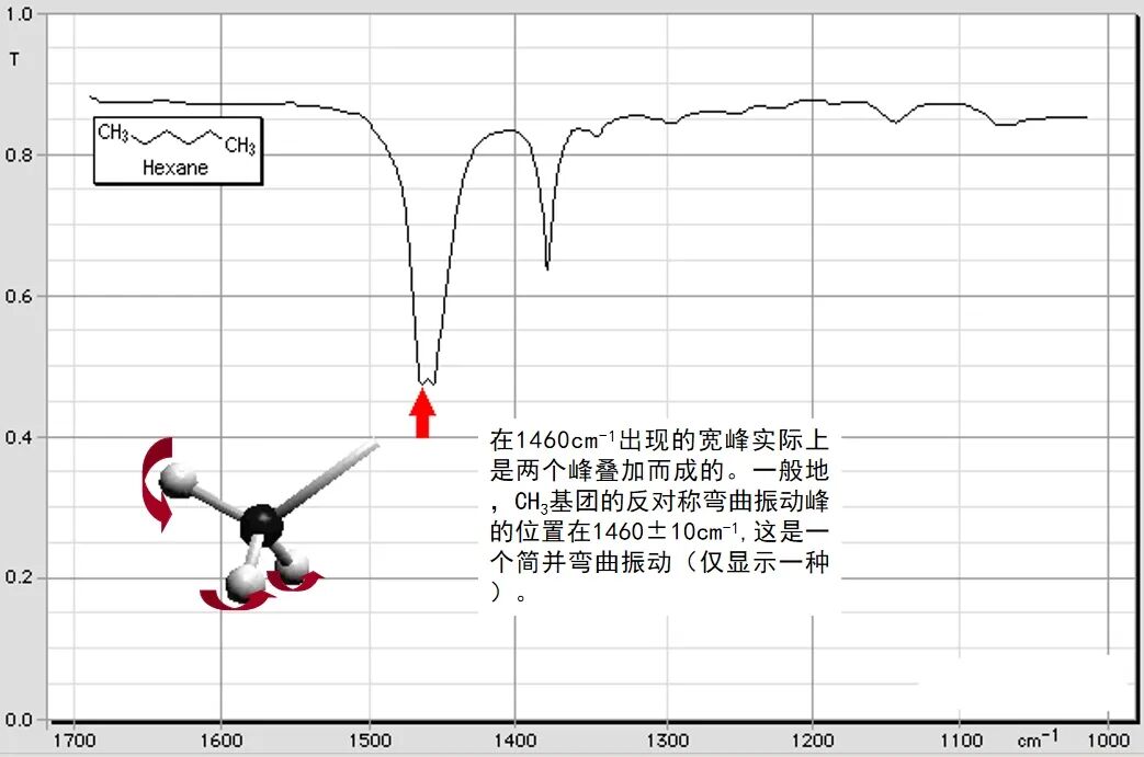 红外55.jpg