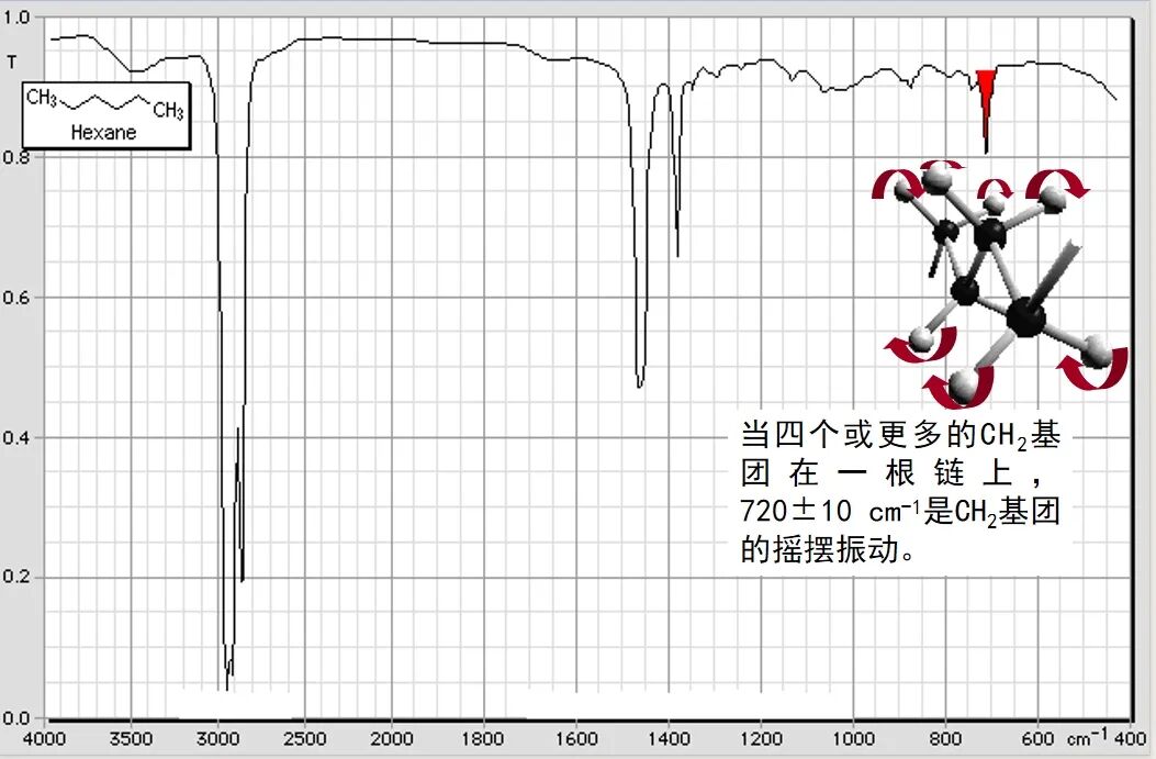 红外74.jpg