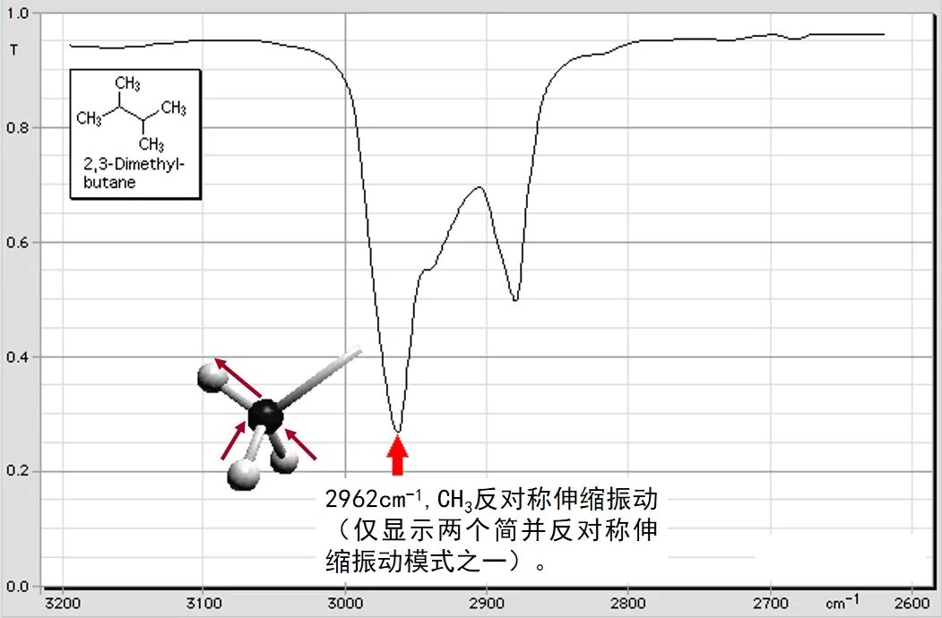 红外71.jpg