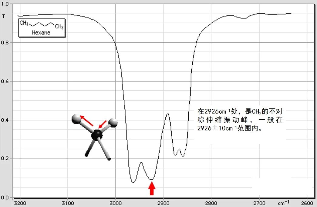 红外50.jpg