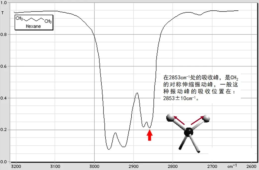 红外53.jpg