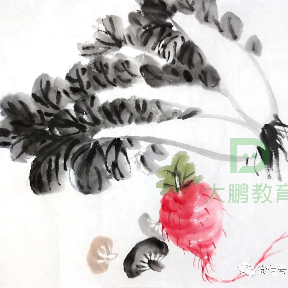 国画花鸟 <修远案例>