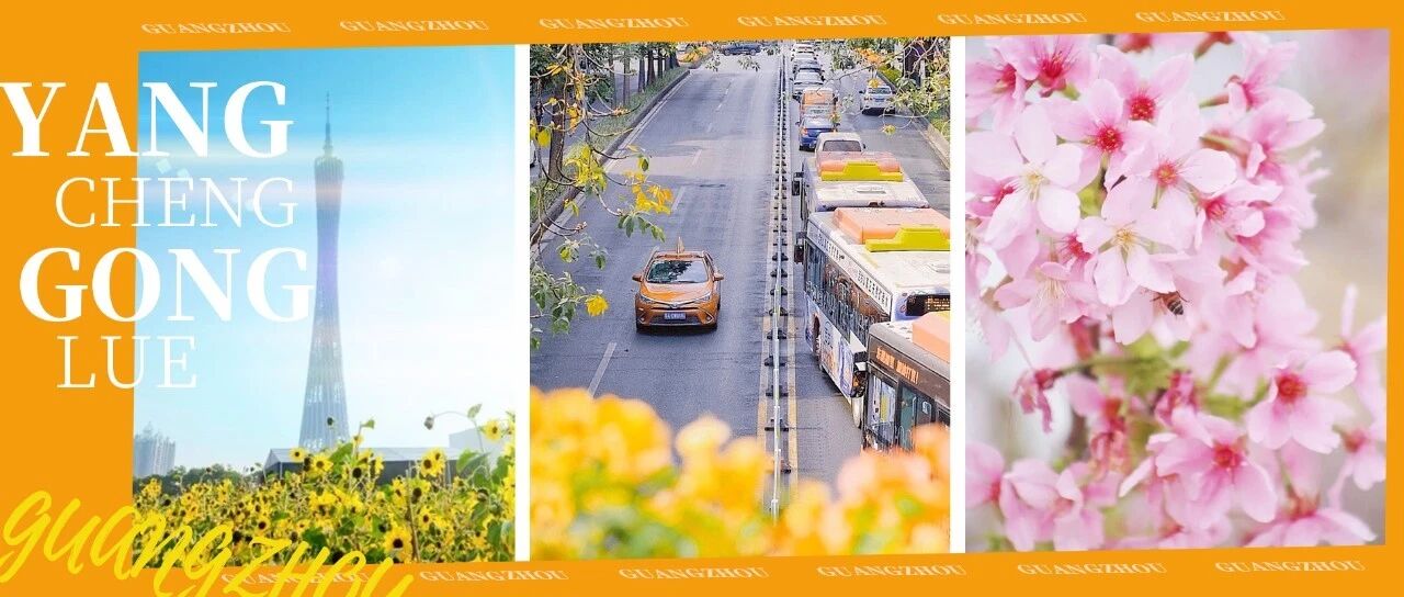 再过两天，广州将成为全国最美的城市!