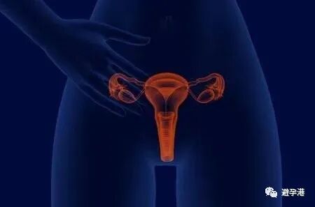 海藻棒怎么扩宫专家谈宫腔操作前宫颈预处理（一）_https://www.jmylbn.com_新闻资讯_第1张