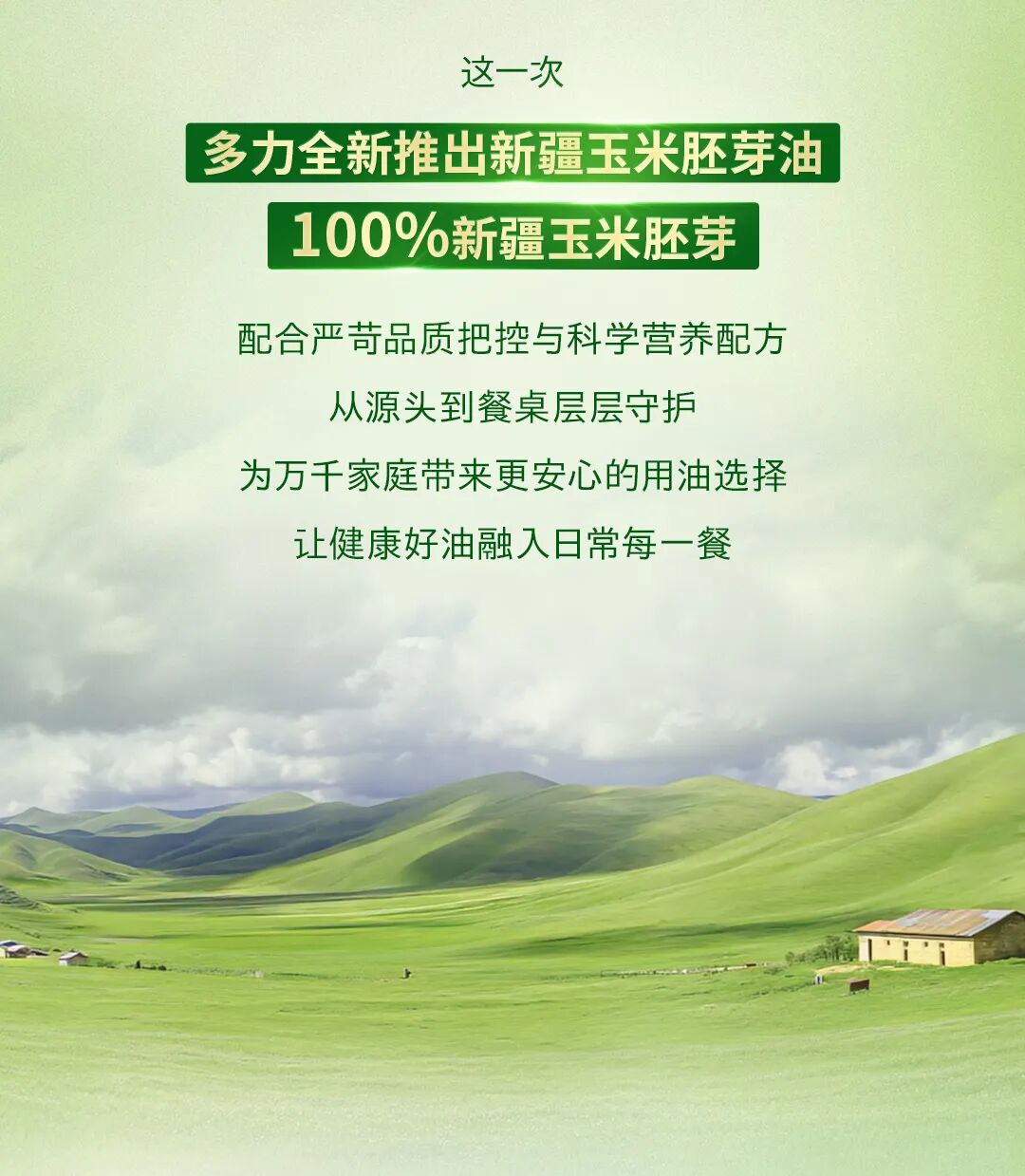 多力新疆玉米胚芽油新品长图-改1_04.jpg