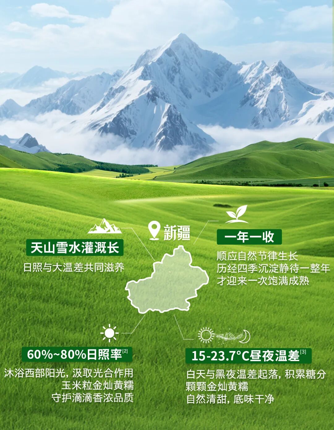 多力新疆玉米胚芽油新品长图-改1_06.jpg