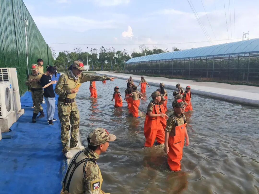 项目：浑水摸鱼2.jpg