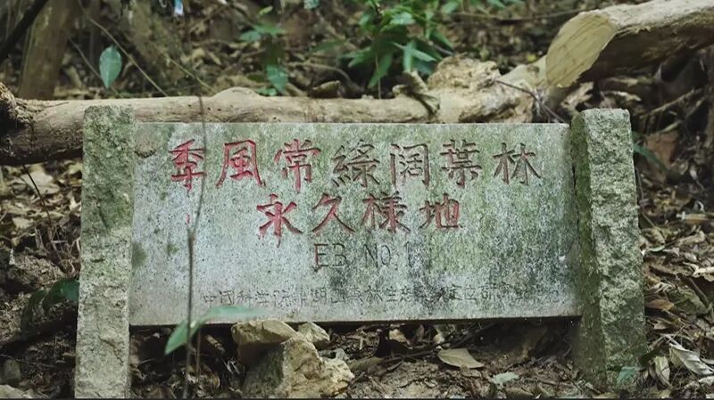 北回歸線上的綠色奇跡——走進(jìn)中國(guó)第一個(gè)自然保護(hù)區(qū)