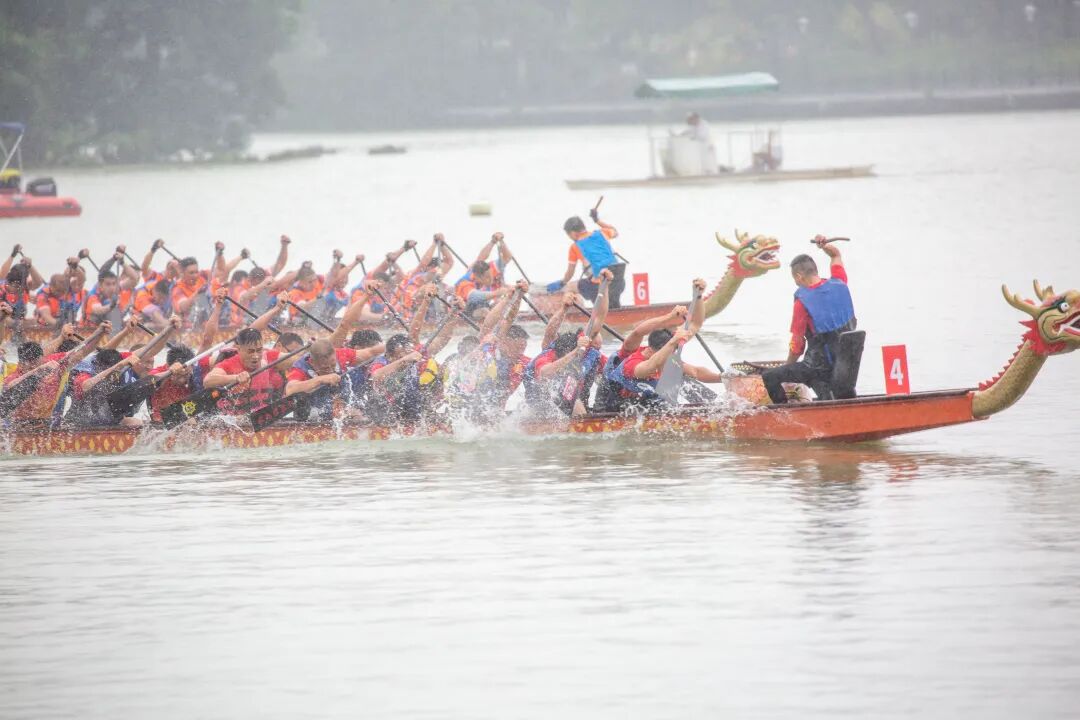 △资料图。肇庆发布廖文奕 摄