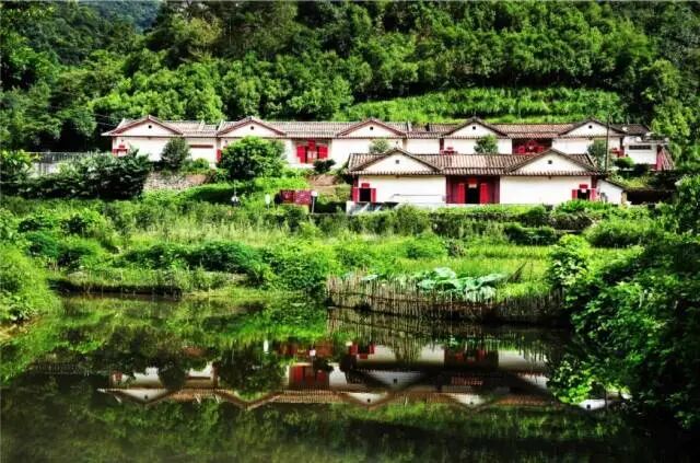 我们正环绕国家级自然保护区骑行这些人在肇庆骑乐无穷