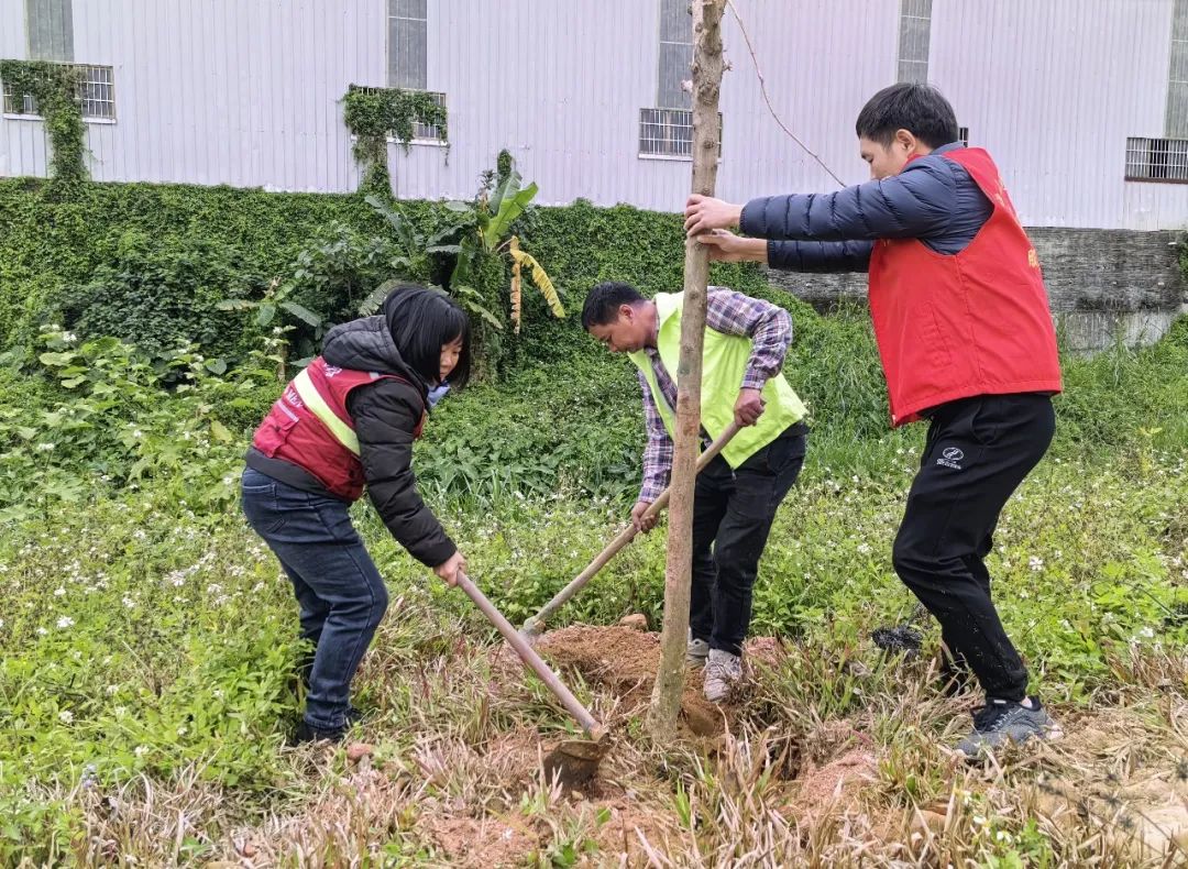 栽树的照片图片