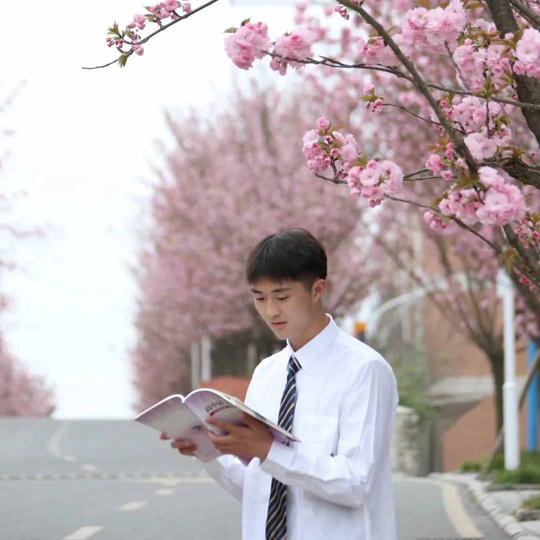 南山实验学校樱花图片