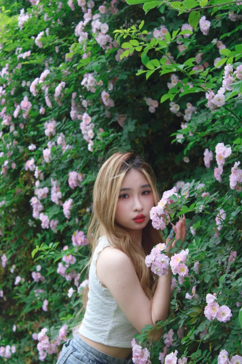 初夏的浪漫怎么少得了和锦城"校花"们合影
