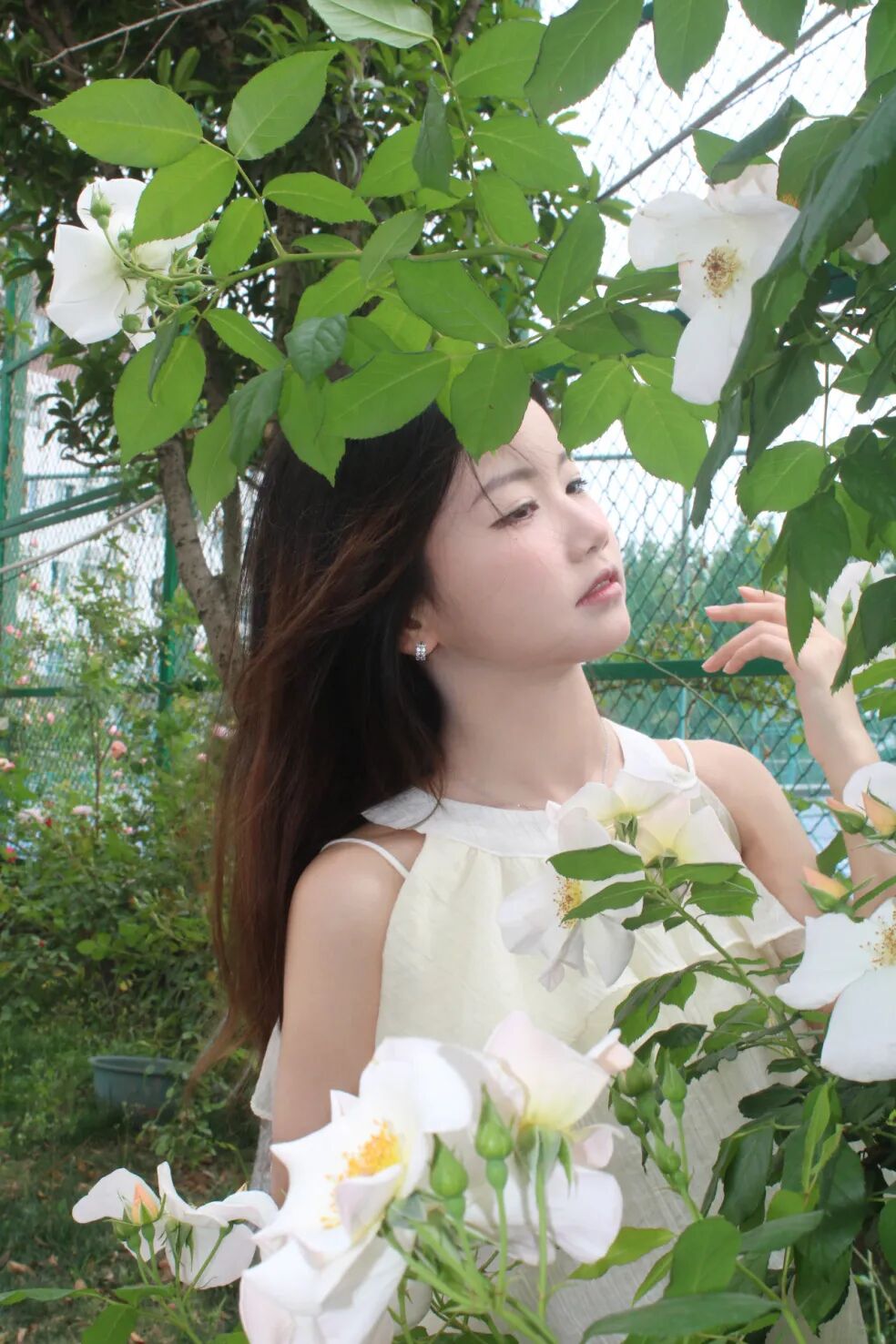 初夏的浪漫怎么少得了和锦城"校花"们合影