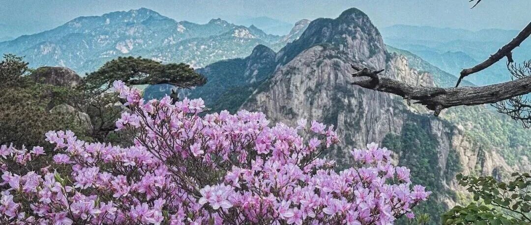 春游黄山，中式山水的天花板！