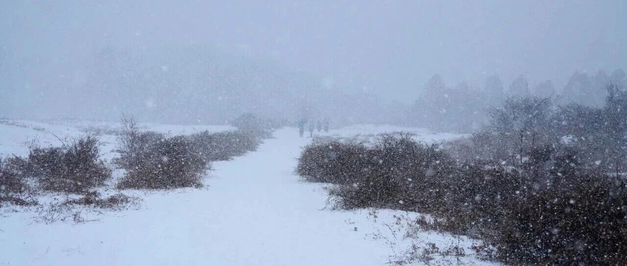 这座1950米的雪山，禁止攀登！