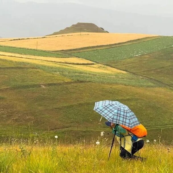 走进祁连山：一场关于历史、山野与自我的行走