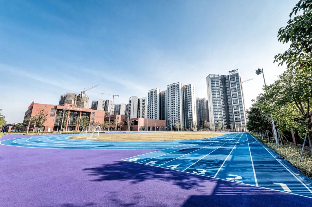 广州越秀多个在售新楼盘已签约学校！