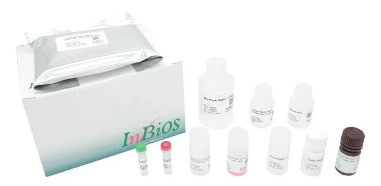 廣東基孔肯雅熱近萬例！從預警到鎖定，你需要這套基孔肯雅熱“方案