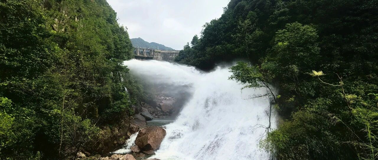 刘翔安置事件