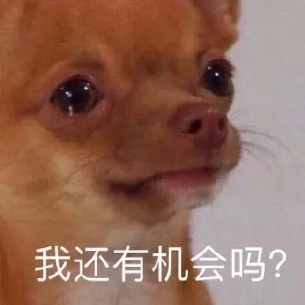 廣東華商技工學(xué)校多少分_廣東華商技工招生2019招生_2023年廣東華商技工學(xué)校錄取分?jǐn)?shù)線