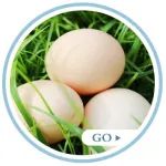 吃鸡蛋犯4个禁忌，没营养还伤胃、寄生虫吃进肚！最养生的吃法是……