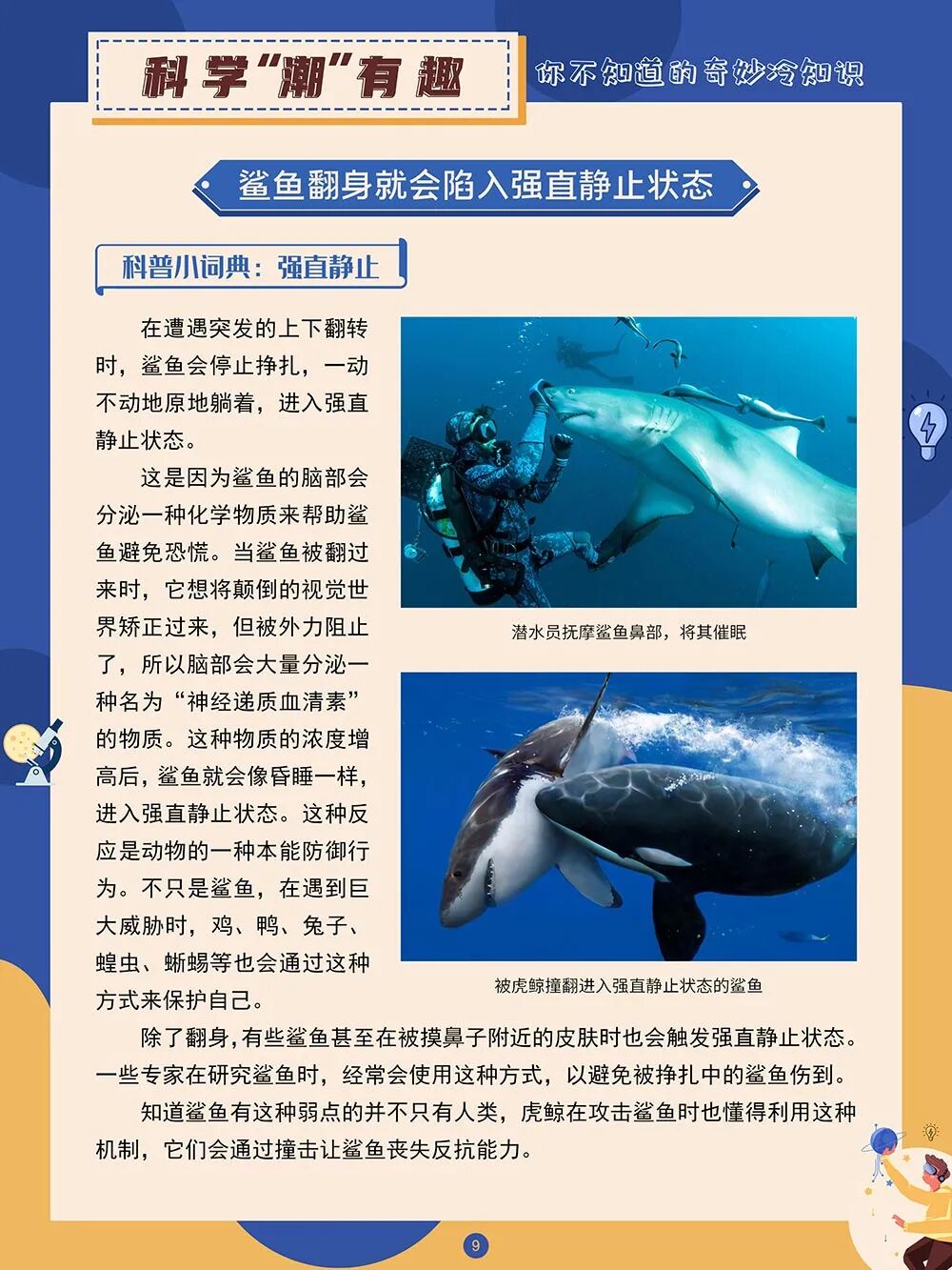 昆明市图书馆