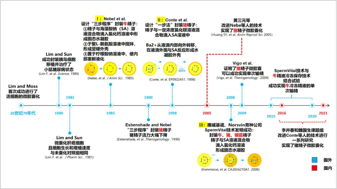 水凝胶怎么保存宁波第二激素厂【精选技术文章】精子微胶囊化技术在猪生产上应用前景_https://www.jmylbn.com_新闻资讯_第3张
