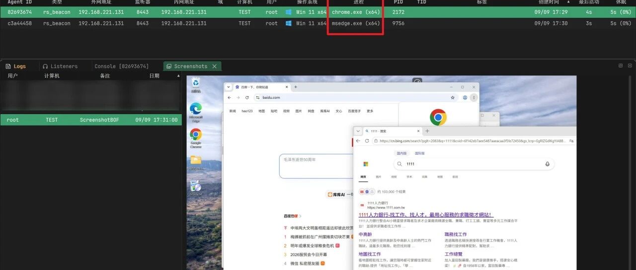 Example Image