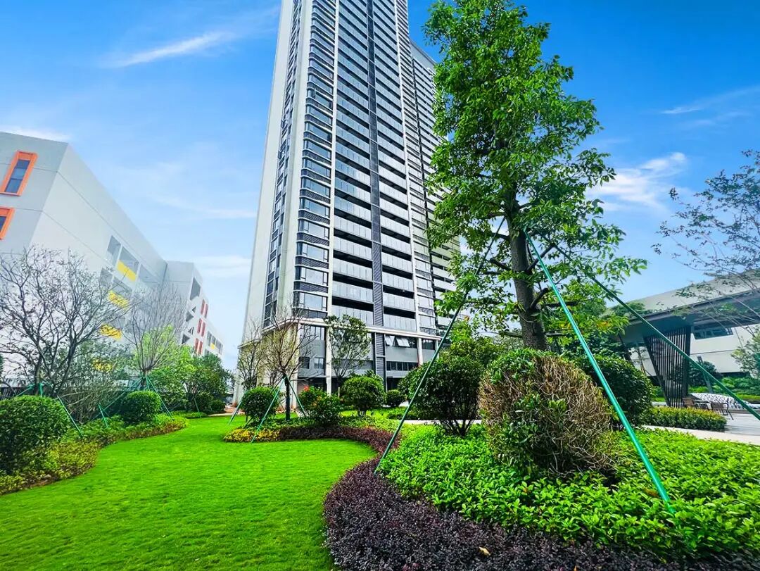 黄埔放开限购，中鼎君和名城珺合府即将交付成热门！