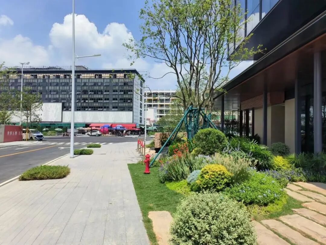 番禺越秀大学星汇锦城与星河盛世锦城入市，到底怎么选？