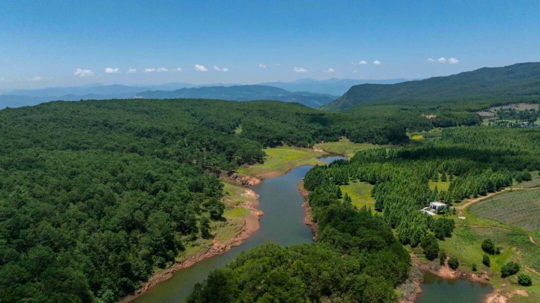 会东 2025 彝族火把节：以火为媒，70.21 亿签约点燃产业发展新引擎插图1