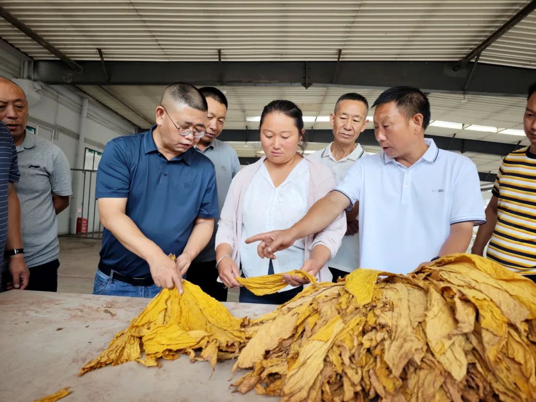 狠抓烟叶初分培训 助力烟农增收致富