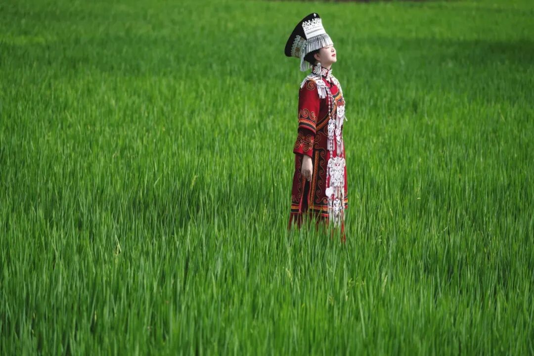 2025 四川省 “天府百姓大舞台” 攀西片区汇演暨 “和美乡村・稻会东” 田园丰收季来袭，川滇文化盛宴等你体验！插图32