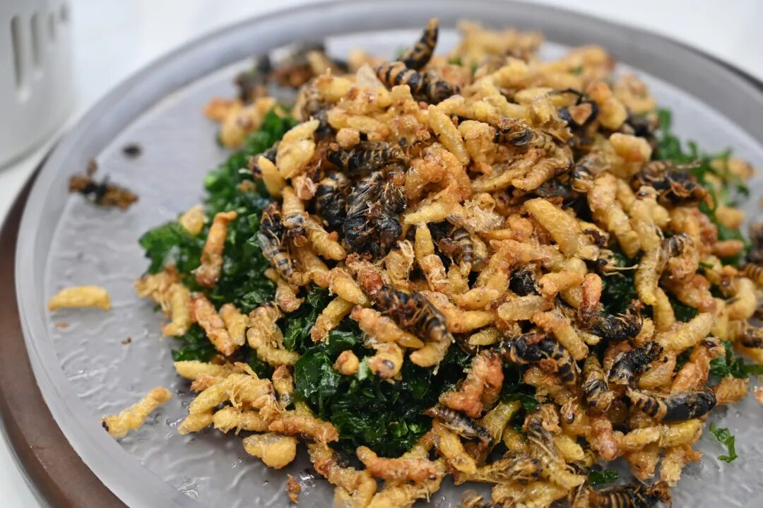 2025 四川省 “天府百姓大舞台” 攀西片区汇演暨 “和美乡村・稻会东” 田园丰收季来袭，川滇文化盛宴等你体验！插图21