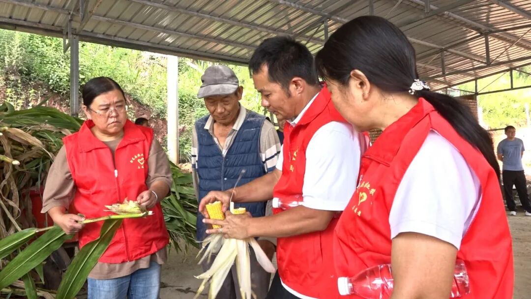 会东县：技术下沉赋能肉羊养殖，特色产业激活乡村振兴新动能插图