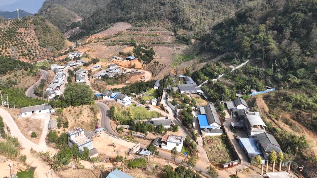 欣安村航拍全景.JPG