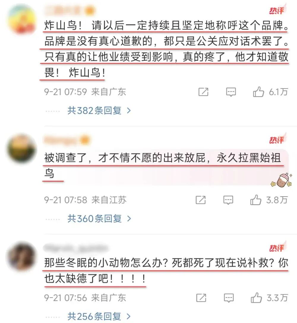 售价上千的始祖鸟屡出质量问题