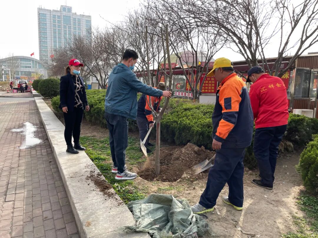 植树添新绿，不负好春光！集团广饶金田市场开展植树活动