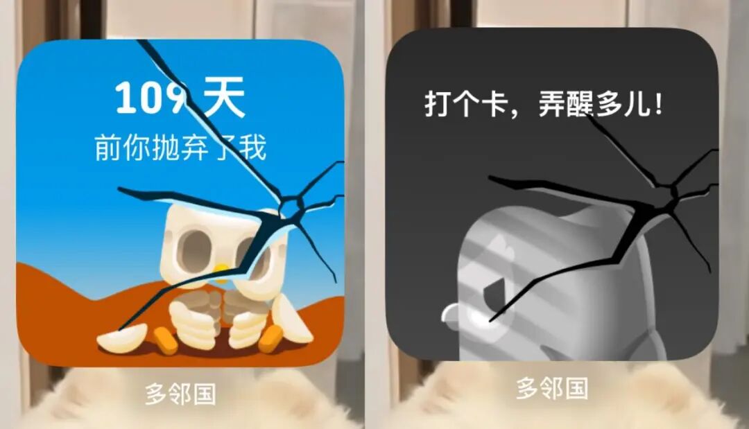 多邻国猫头鹰官宣结婚