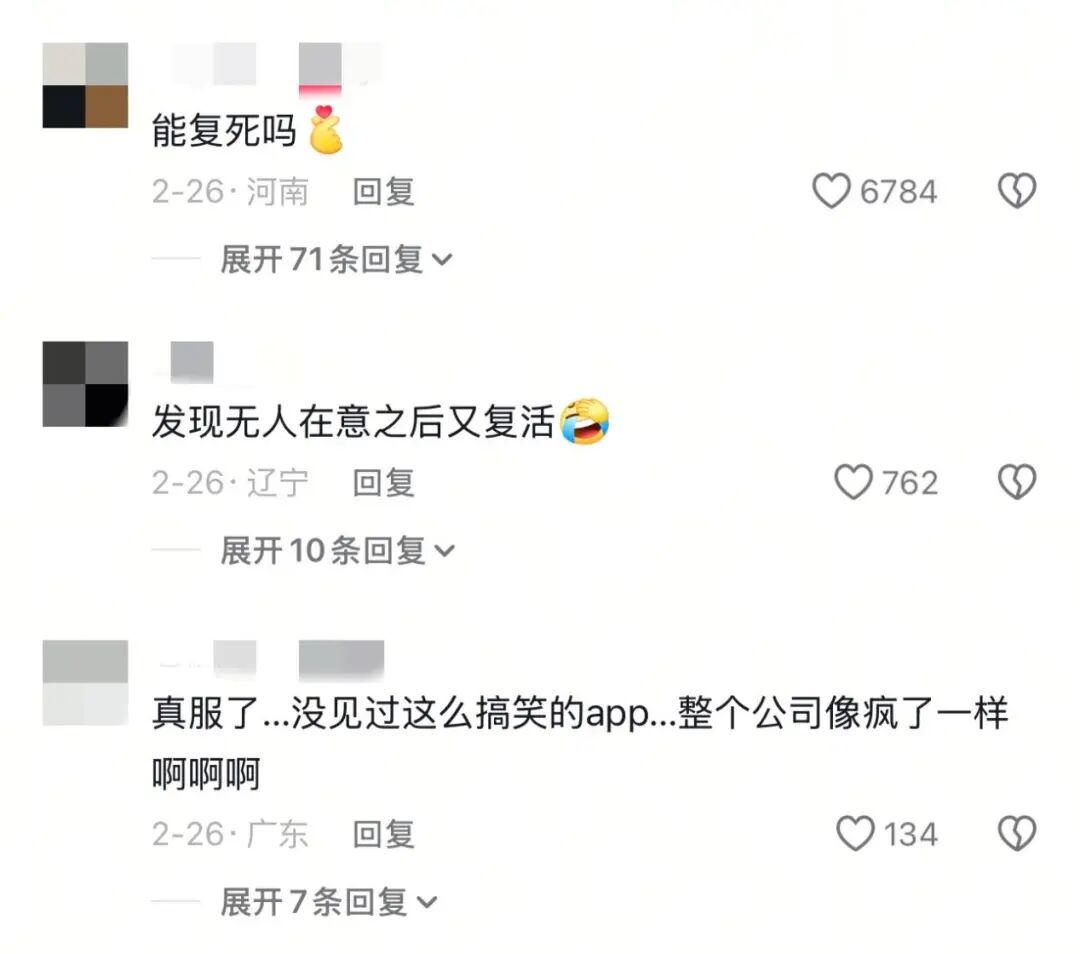 多邻国猫头鹰官宣结婚