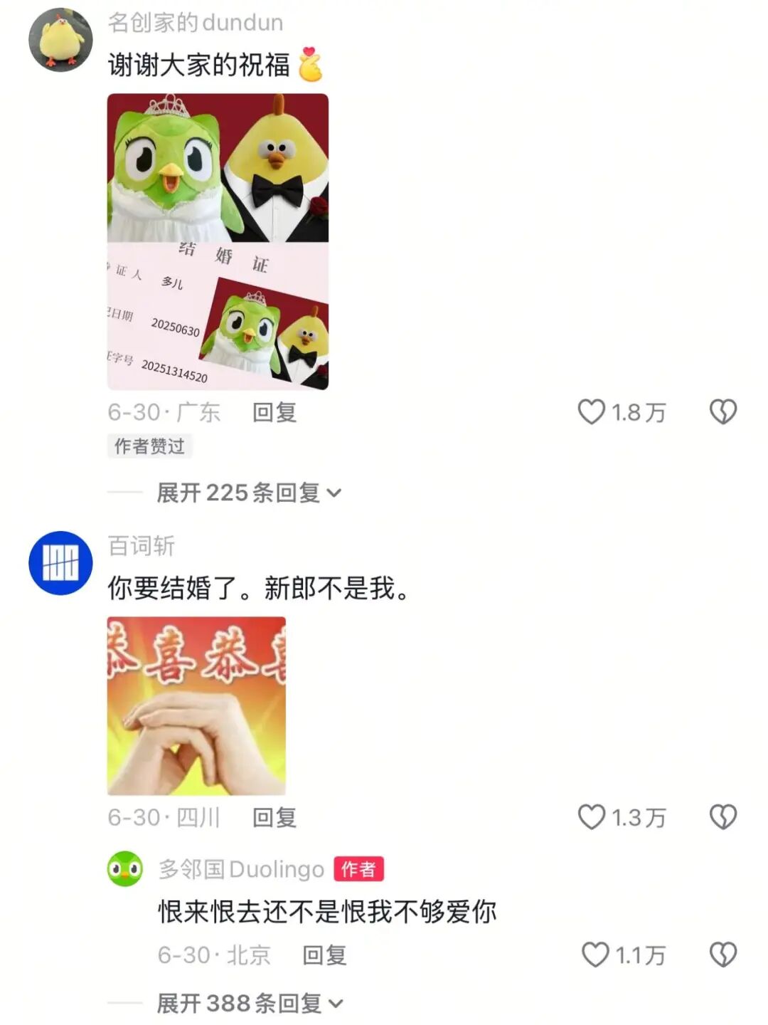 多邻国猫头鹰官宣结婚