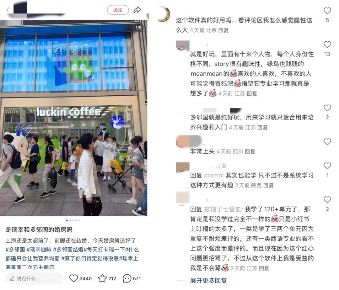 多邻国猫头鹰官宣结婚
