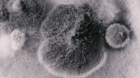 图源：视觉中国