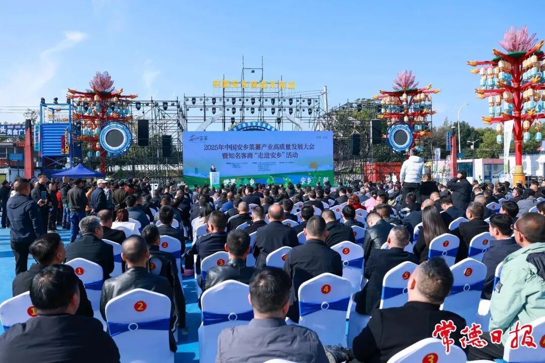 中国安乡菜薹产业高质量发展大会召开